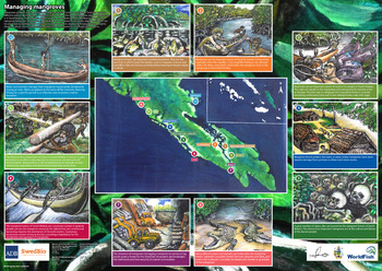 Managing mangroves