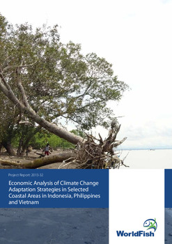 Economic analysis of climate change adaptation strategies in selected coastal areas in Indonesia, Philippines and Vietnam Economic analysis of climate change adaptation strategies in selected coastal areas in Indonesia, Philippines and Vietnam