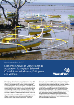 Economic analysis of climate change adaptation strategies in selected coastal areas in Indonesia, Philippines and Vietnam