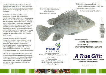 GIFT improved farmed tilapia