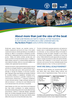 About more than just the size of the boat: Big Numbers Project About more than just the size of the boat: Big Numbers Project