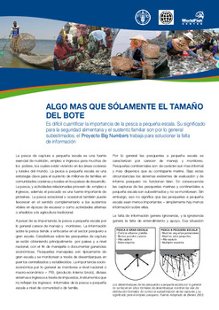 El Proyecto Big Numbers