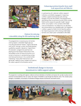 Fisheries and HIV/AIDS in Africa: investing in sustainable solutions Fisheries and HIV/AIDS in Africa: investing in sustainable solutions