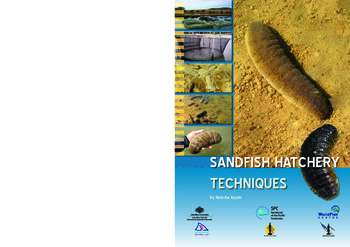 Sandfish hatchery techniques Sandfish hatchery techniques