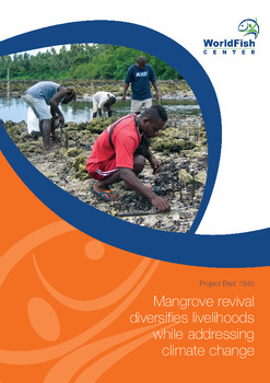 Mangrove revival diversifies livelihoods while addressing climate change