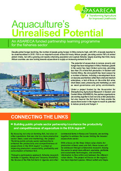 Aquaculture's unrealised potential: an ASARECA funded partnership learning programme for the fisheries sector Aquaculture's unrealised potential: an ASARECA funded partnership learning programme for the fisheries sector