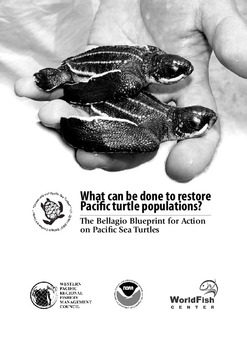 What can be done to restore Pacific turtle populations?: The Bellagio blueprint for action on Pacific sea turtles What can be done to restore Pacific turtle populations?: The Bellagio blueprint for action on Pacific sea turtles