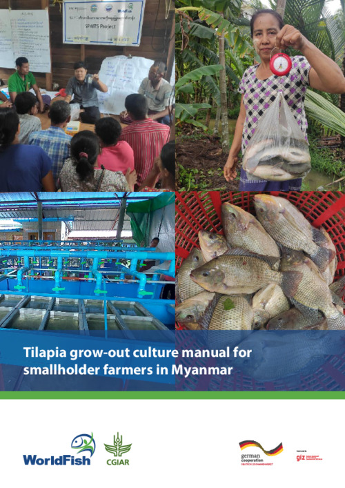 Tilapia grow-out culture manual for smallholder farmers in Myanmar Tilapia grow-out culture manual for smallholder farmers in Myanmar