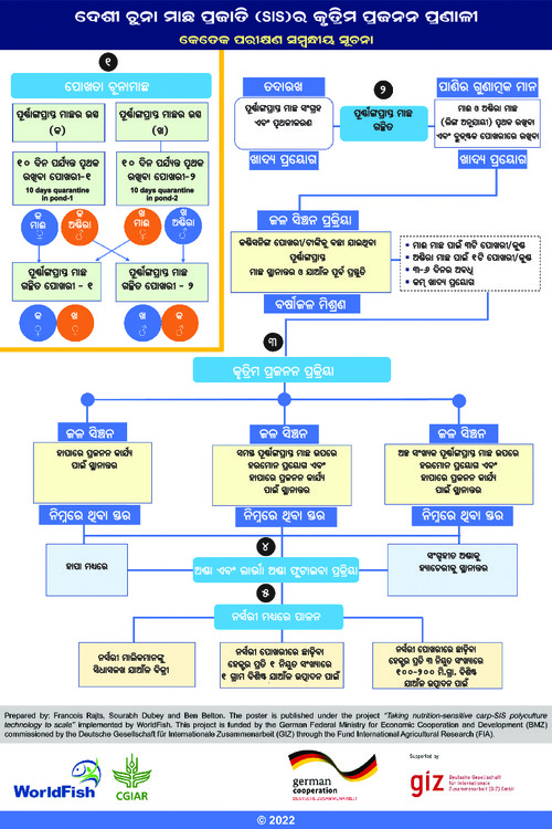 Induced breeding of small indigenous fish species (SIS): An overview of some trial options