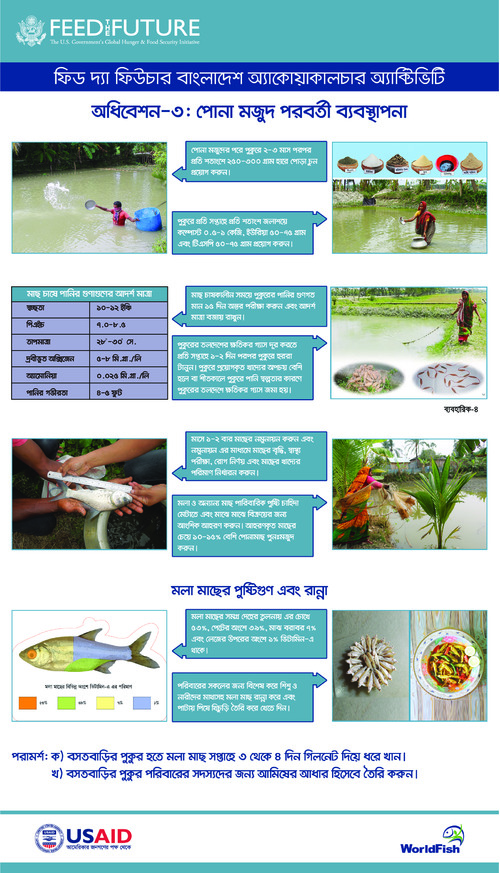 Festoon on post stocking management of fish seed Festoon on post stocking management of fish seed
