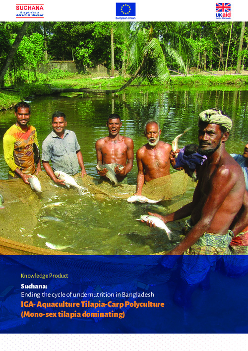 Suchana: Ending the cycle of undernutrition in Bangladesh. IGA- Aquaculture Tilapia-Carp Polyculture (Mono-sex tilapia dominating)