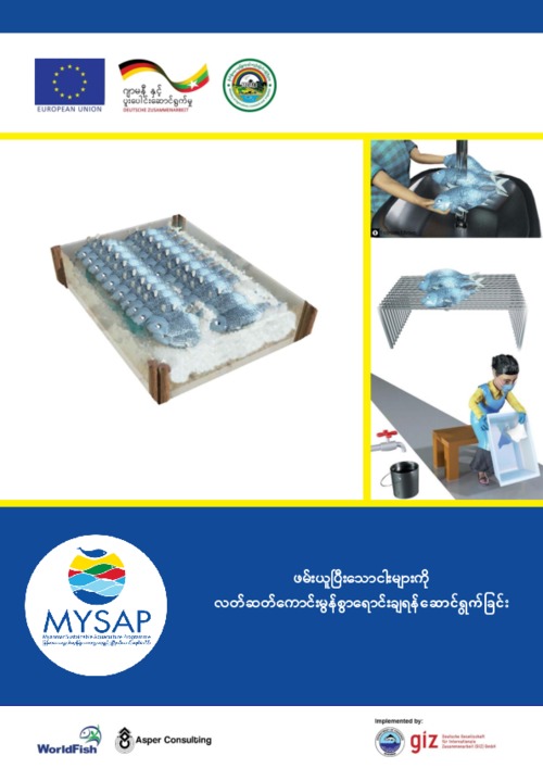 Facilitator guide: Good post-harvest practices for fresh fish trading - Burmese version Facilitator guide: Good post-harvest practices for fresh fish trading - Burmese version