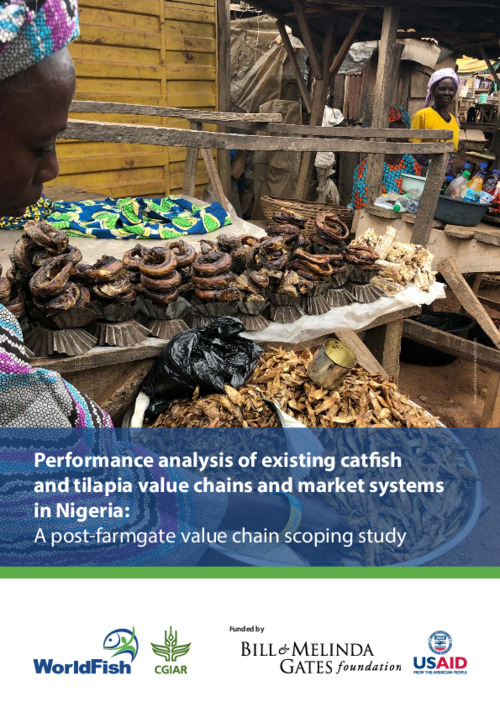 Performance analysis of existing catfish and tilapia value chains and market systems in Nigeria: A post-farmgate value chain scoping study