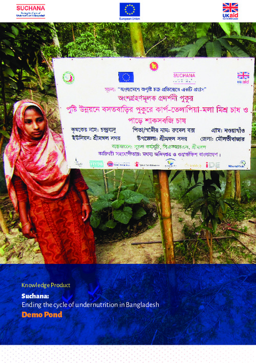Suchana: Ending the cycle of undernutrition in Bangladesh. Demo Pond Suchana: Ending the cycle of undernutrition in Bangladesh. Demo Pond