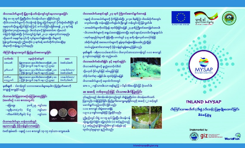 Pond nursing of carp species (Burmese version)