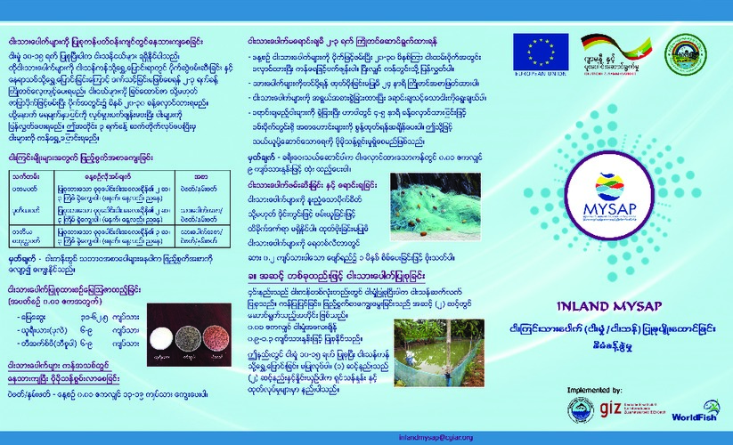 Pond nursing of carp species (Burmese version) Pond nursing of carp species (Burmese version)