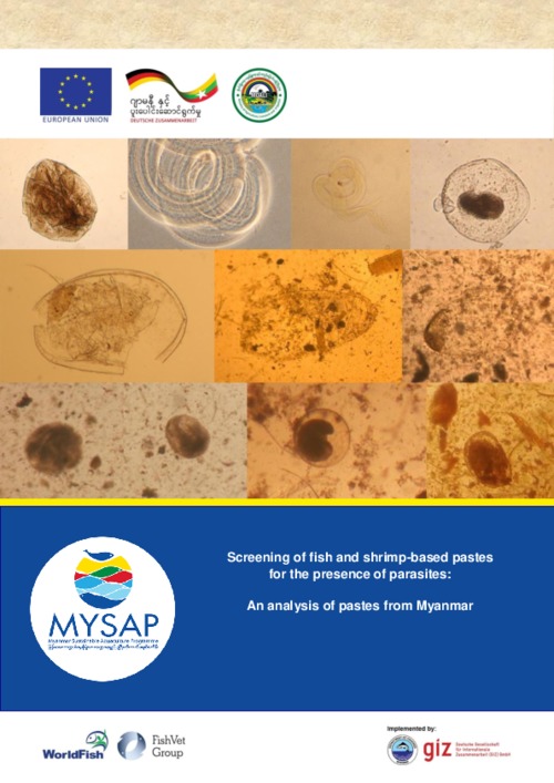 Screening of fish and shrimp-based pastes for the presence of parasites: An analysis of pastes from Myanmar