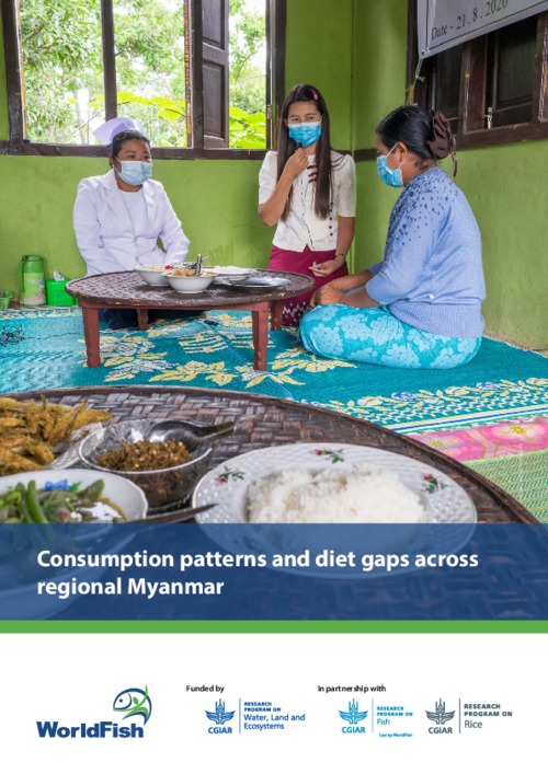 Consumption patterns and diet gaps across regional Myanmar