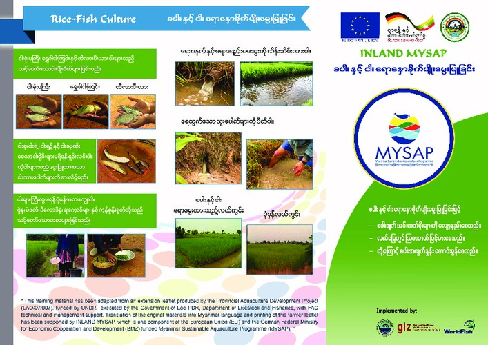 Rice-fish culture (Burmese version) Rice-fish culture (Burmese version)