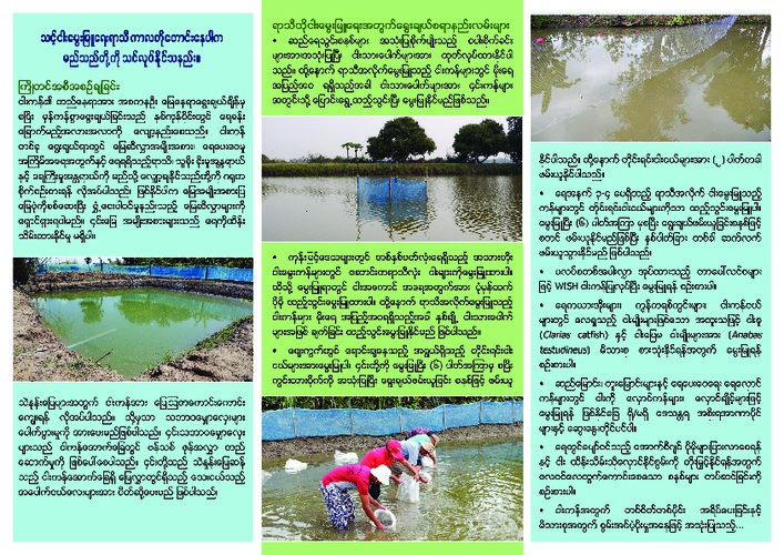 Climate change and options for shortened fish culture seasons (Burmese version) Climate change and options for shortened fish culture seasons (Burmese version)