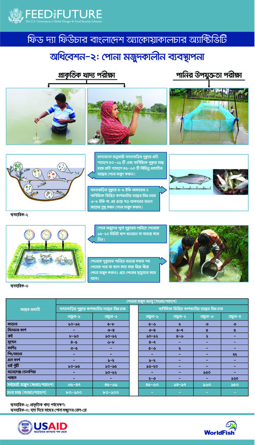 Festoon on fish seed stocking management Festoon on fish seed stocking management