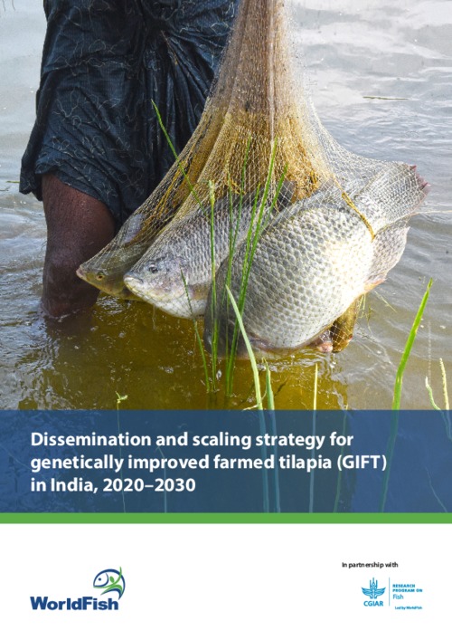 Dissemination and scaling strategy for genetically improved farmed tilapia (GIFT) in India, 2020–2030