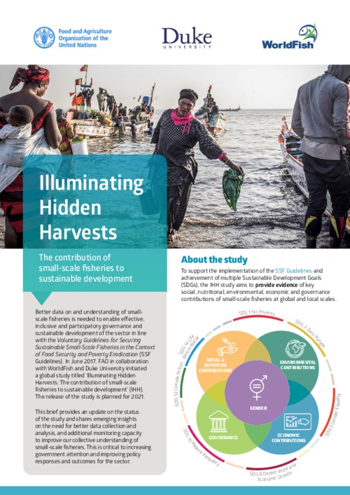 Illuminating Hidden Harvests: The contribution of small-scale fisheries to sustainable development