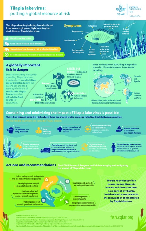 Tilapia lake virus: putting a global resource at risk