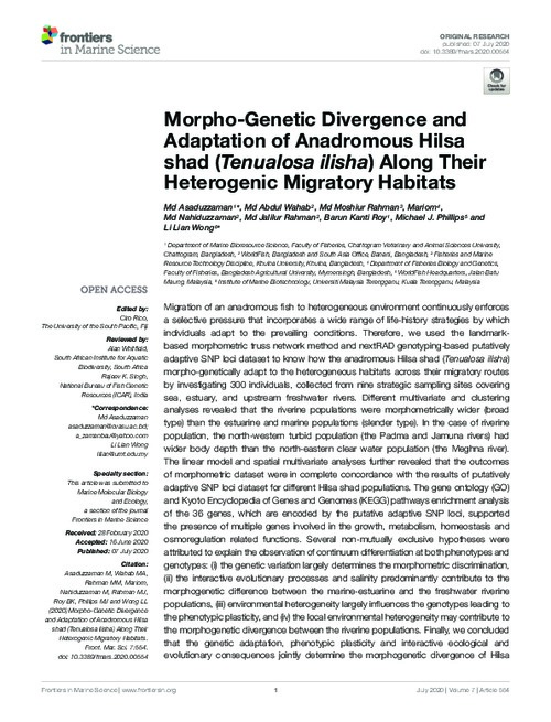 Morpho-Genetic Divergence and Adaptation of Anadromous Hilsa shad (Tenualosa ilisha) Along Their Heterogenic Migratory Habitats Morpho-Genetic Divergence and Adaptation of Anadromous Hilsa shad (Tenualosa ilisha) Along Their Heterogenic Migratory Habitats