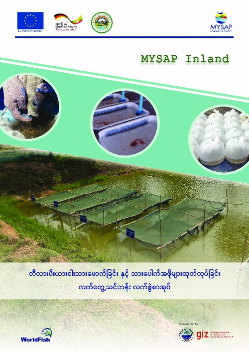 Practical training manual: Tilapia breeding and all-male fry production (Burmese Version)