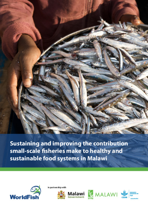 Sustaining and improving the contribution small-scale fisheries make to healthy and sustainable food systems in Malawi