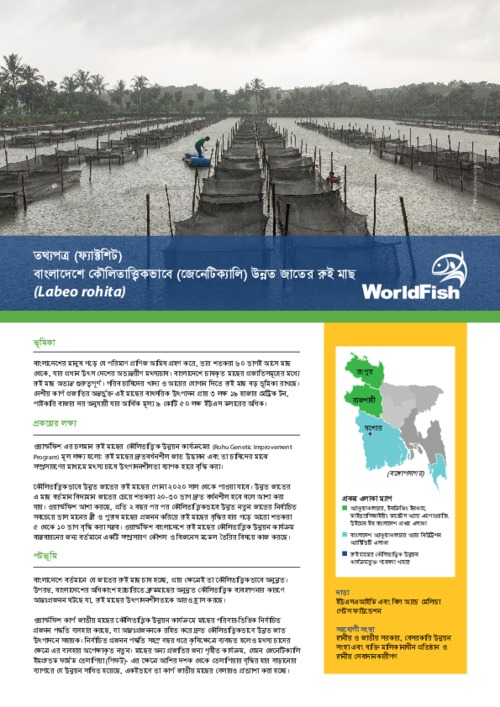 Genetically improved rohu (Labeo rohita) for Bangladesh (Bangla version) Genetically improved rohu (Labeo rohita) for Bangladesh (Bangla version)
