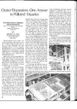 Oyster depuration: one answer to polluted estuaries
