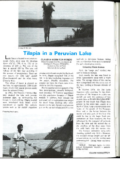 Tilapia in a Peruvian lake Tilapia in a Peruvian lake