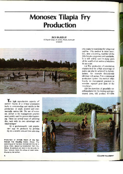 Monosex tilapia fry production Monosex tilapia fry production