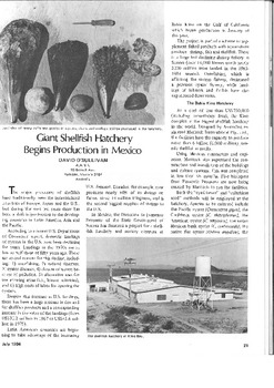Giant shellfish hatchery begins production in Mexico Giant shellfish hatchery begins production in Mexico