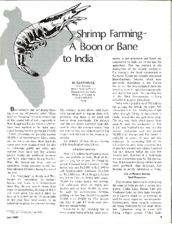 Shrimp farming: a boon or bane to India Shrimp farming: a boon or bane to India