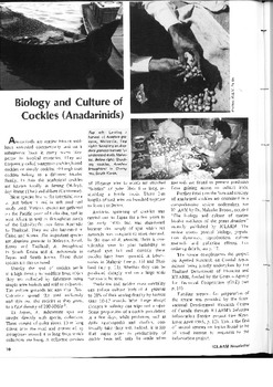 Biology and culture of cockles (Anadarinids)