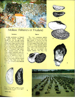 Mollusc fisheries in Thailand