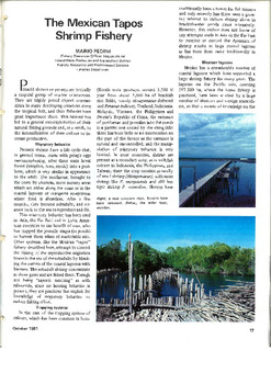 The Mexican tapos shrimp fishery The Mexican tapos shrimp fishery