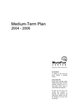 Medium-term plan 2004-2006