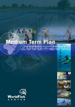 Medium-term plan 2006 - 2008