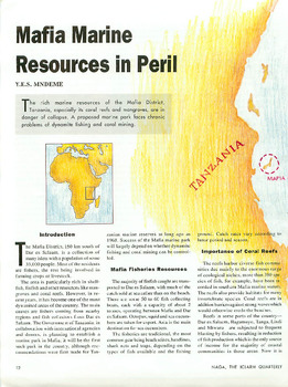 Mafia marine resources in peril