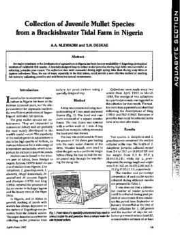 Collection of juvenile mullet species from a brackishwater tidal farm in Nigeria Collection of juvenile mullet species from a brackishwater tidal farm in Nigeria