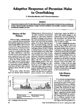 Adaptive response of Peruvian Hake to overfishing