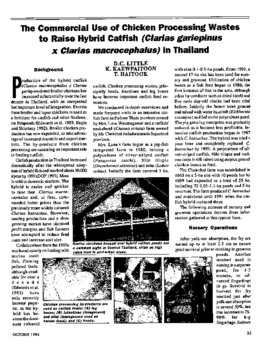 The commercial use of chicken processing wastes to raise hybrid catfish (Clarias gariepinus x Clarias macrocephalus) in Thailand