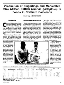 Production of fingerlings and marketable size African catfish (Clarias gariepinus) in ponds in northern Cameroon Production of fingerlings and marketable size African catfish (Clarias gariepinus) in ponds in northern Cameroon