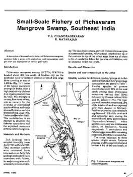 Small-scale fishery of Pichavaram mangrove swamp, Southeast India Small-scale fishery of Pichavaram mangrove swamp, Southeast India