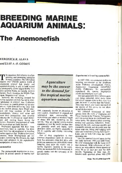 Breeding marine aquarium animals: the anemonefish