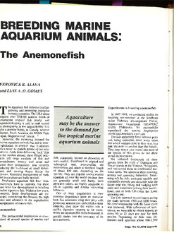 Breeding marine aquarium animals: the anemonefish Breeding marine aquarium animals: the anemonefish